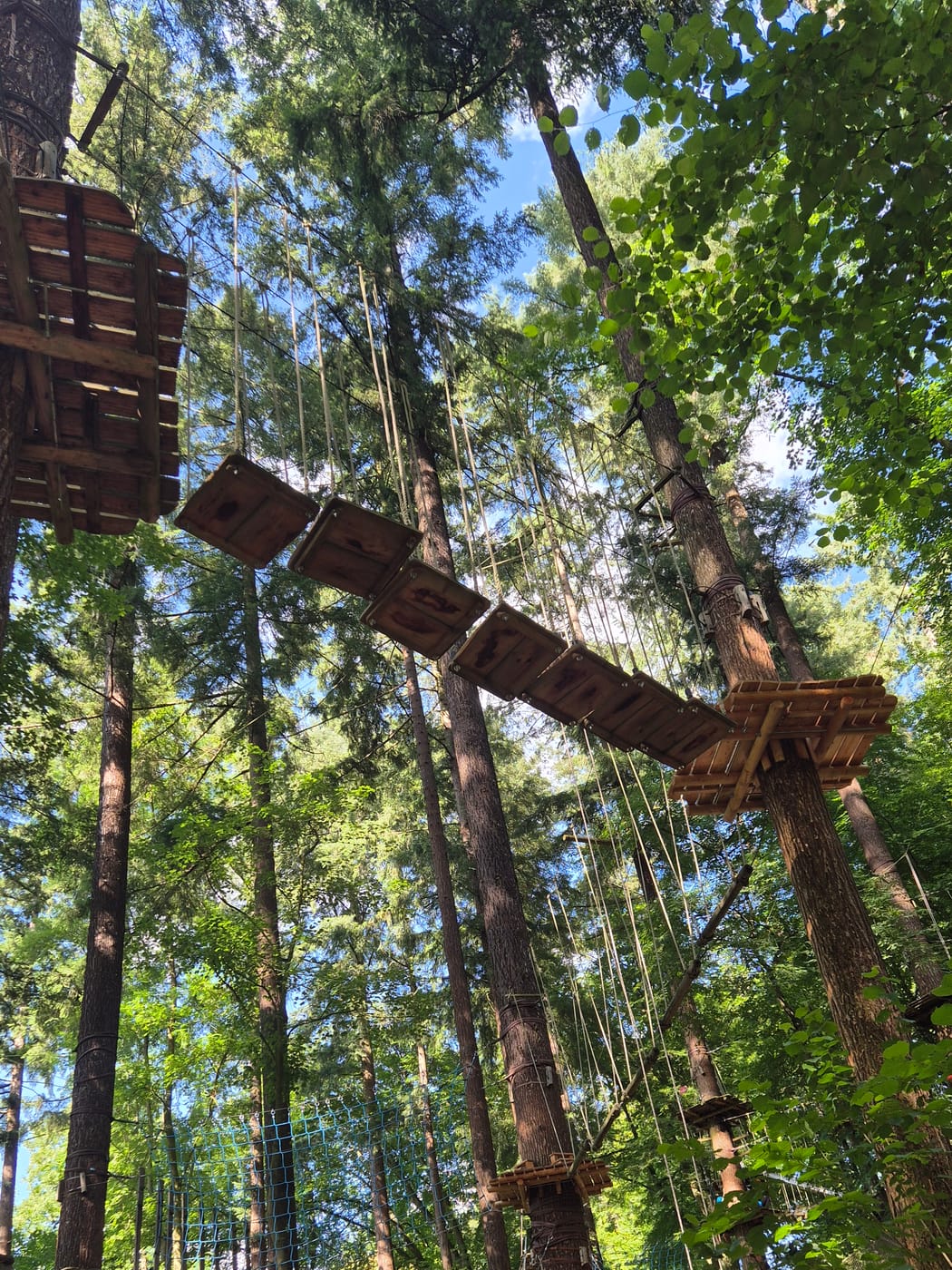 Kletterwald Sayn