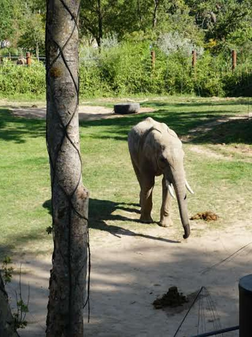 Opel-Zoo